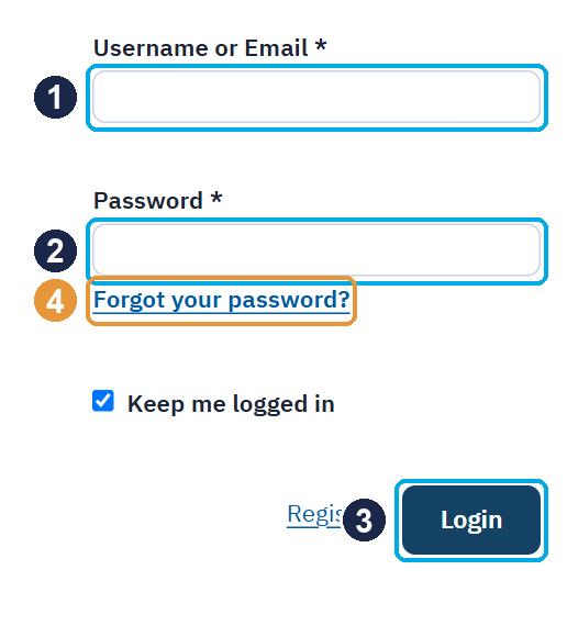 Screenshot: Login form